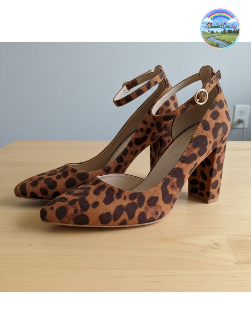 Women's Closed Toe Chunky Block Heels Ankle Strap Pumps Pointed Toe
